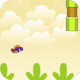 birdy bird floppy