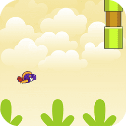 birdy bird floppy