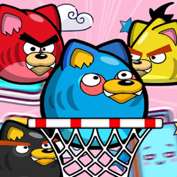 angry cats