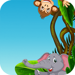 animals memory