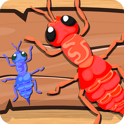 ants
