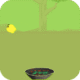 apples