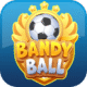 bandyball