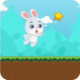 bunny adventure