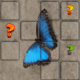 butterfly memory match