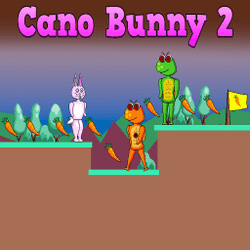 cano bunny 2 1