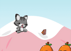 cat runner