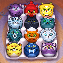 cat sorter puzzle